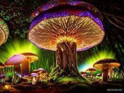 Three Things To Know About Psilocybin Mushrooms