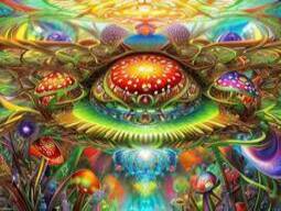 Microdosing Benefits of LSD and Psilocybin Mushrooms