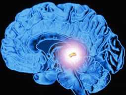 Pineal Gland & DMT: Is DMT Produced In The Brain? Pineal Gland & DMT: Is DMT Produced In The Brain?