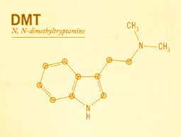 What is DMT? What is DMT?