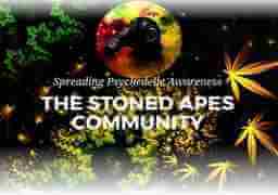 The Stoned Apes