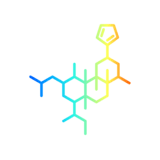Salvia Divinorum is the most potent psychedelic known to man! Salvia Divinorum is the most potent psychedelic known to man!