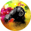 Spreading Psychedelic Awareness - The Stoned Apes The Stoned Apes Non Profit