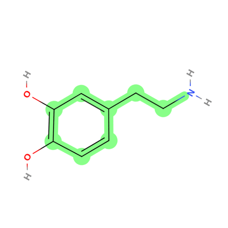 This is what the Dopamine molecule looks like. This is what the Dopamine molecule looks like.