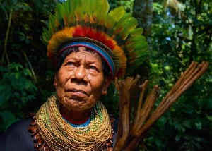 Shaman Shaman
