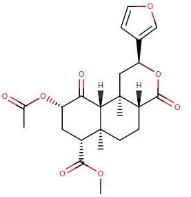 Salvinorin Alpha is the main active psychotropic molecule responsible for the entheogenic experience produced by Salvia Divinorum. Salvinorin Alpha is the main active psychotropic molecule responsible for the entheogenic experience produced by Salvia Divinorum.